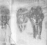 Darvulia : Darvulia - Dark Opus